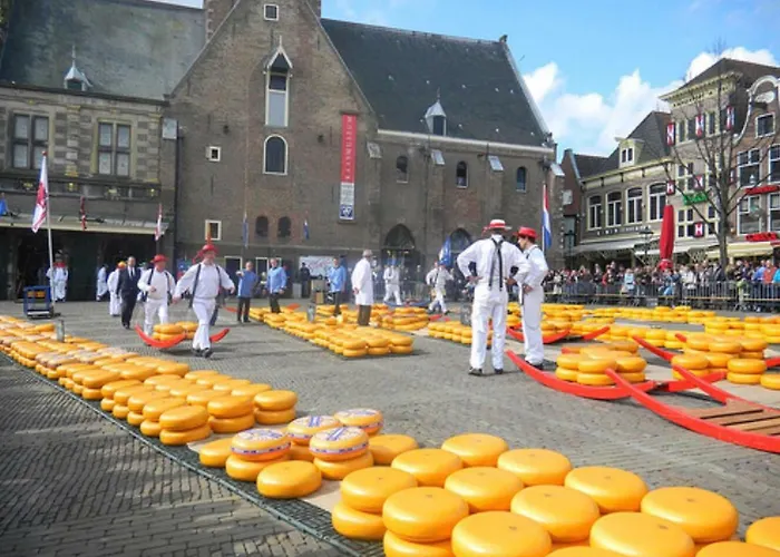 Koningshof Xl