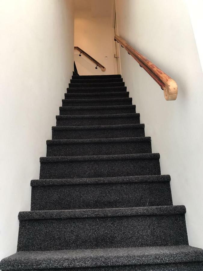 Koningshof Xl * Alkmaar